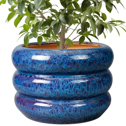 SQOWL Ceramic Pot for Plants - 10 Inch Plant Pot