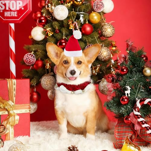 hoyuwak Sombrero y Collar de Santa para Perro Mediano o Pequeño miniatura 4
