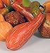 Autumn Mixture of 12 Artificial Gourds and Pumpkins for Fall Harvest Decorating and Displaying
