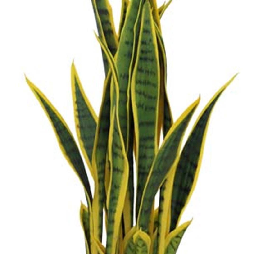 Leaf Künstliche Tropische Schlangenpflanze Sansevieria