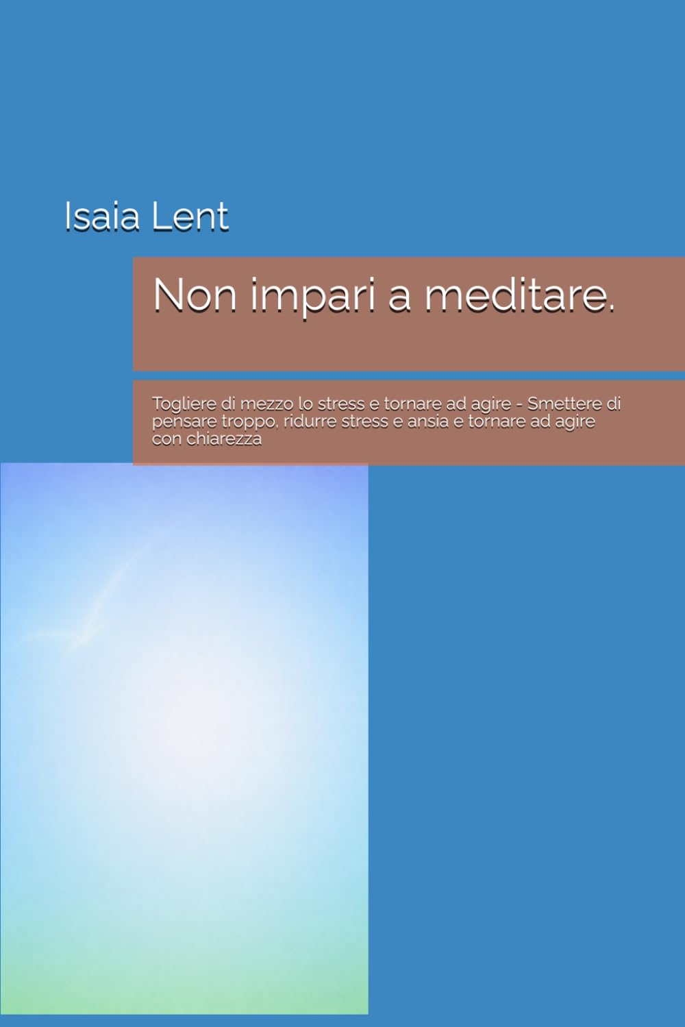 Non impari a meditare.: Togliere di mezzo lo stress e tornare ad agire - Smettere di pensare troppo, ridurre stress e ansia e tornare ad agire con chiarezza