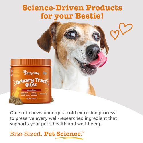 Image of Zesty Paws Cranberry Supplement for Dogs - Chicken, 90 Ct