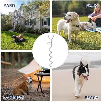 WePet Dog Tie-Out Stake, Durable Silver Spiral Anchorstake, Secure Outdoor Tethering for All Cable Leash Chain, Camping Yard, Rust-Resistant, Easy Installation, Medium, 16 Inch