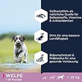 Eukanuba Welpenfutter getreidefrei mit Fisch für große Rassen - Trockenfutter ohne Getreide für Junior Hunde, 12 kg