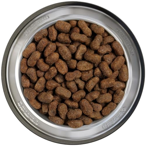 2 x Belcando Adult GF Beef 12,5 kg NEU - Sparpaket