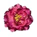 RoyaLily 4.7'' Poney Flower Wedding Hair accessories Festival Hair Clips and Pin Party Brooch (Fuchsia Purple)