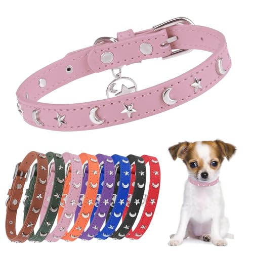 DILLYBUD Leather Dog Collar for Puppy Small Medium Dogs, Adj
