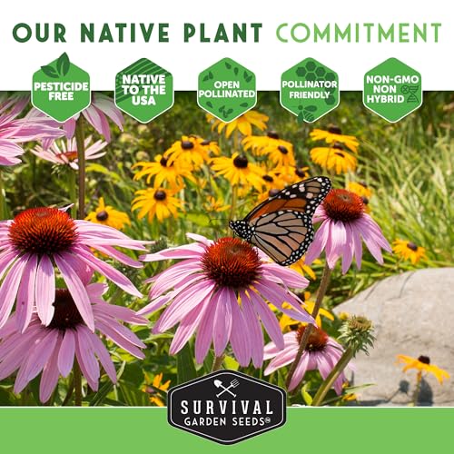 Survival Garden Seeds - Victoria Blue Sage Seed for Planting - 1 Packet with Instructions to Plant and Grow Mealycup Sage or Salvia Farinacea in Your Home Vegetable Garden - Non-GMO Heirloom Variety - Image 8
