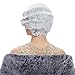 STfantasy 20S Finger Wave Wig Flapper Curly Synthetic Hair for Women 1920s Cosplay Costume Halloween Party Daily Everyday Wear (Siver Grey)