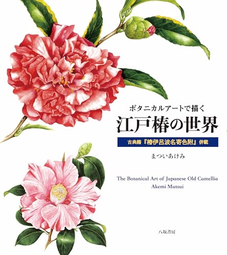 Amazon.co.jp: まつい あけみ: 本、バイオグラフィー、最新アップデート