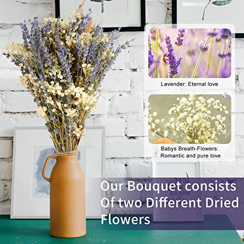 FUKUOKA Dried Lavender & Baby's Breath Flowers Bundles, 2 Bunches Dried Flower Bouquet for Vase, Natural Gypsophila, Valentines Day Decor Present, Home, Wedding, Photography, Floral Arrangement, DIY
