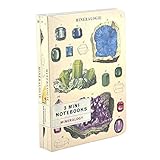 Cavallini Papers & Co., Inc. Mineralogy Cavallini Mini Notebooks 4 x 5.5