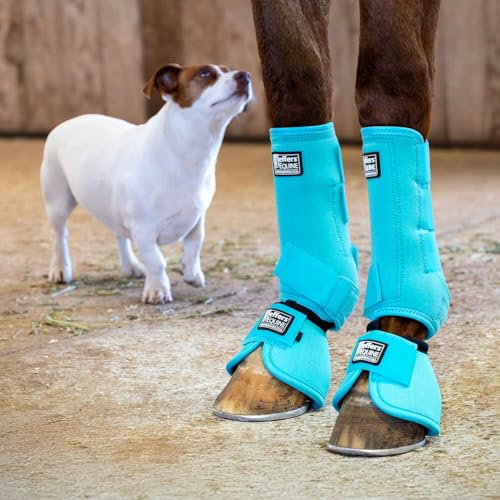 Jeffers Equine Protective Horse Boots, 1 Pair, Large - Safe Neoprene Leg Guards, Durable Strap Closures, Front & Hind Support, Equestrian Accessories for Travel & Riding - Turquoise - Image 3