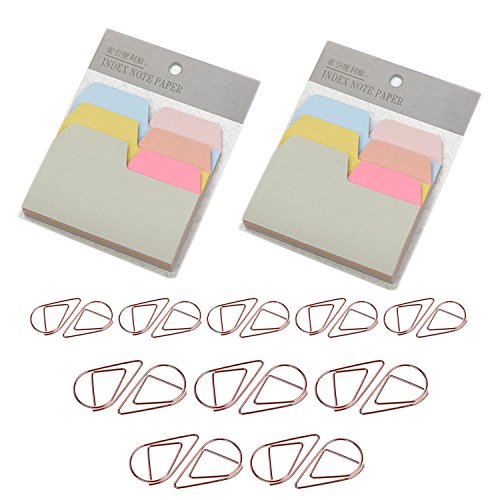 D-worthy 2 Pack Divider Sticky Notes Index Tabs Paper with 20 Pcs Metal Paper Clip Rose Gold Color