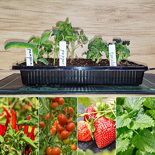 Adawook Thermostat Controller Seedling Heat Mat, 10"x 20.75" Heat Mats for Seed Starting,68-113°F Adjustable,50W Waterproof Seed Heating Mat, MET Certified, Heat Mat for Plants(Not Trays) - Image 6