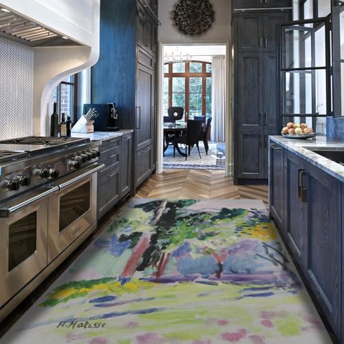 Tapis 60x90 lavable et antidérapant au style Henri Matisse