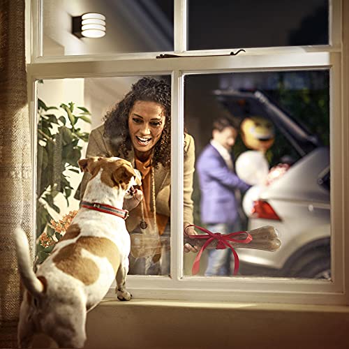 Philips Hue Lucca White LED Smart Outdoor Wall Light, Works with Alexa, Google Assistant and Apple HomeKit - Image 5