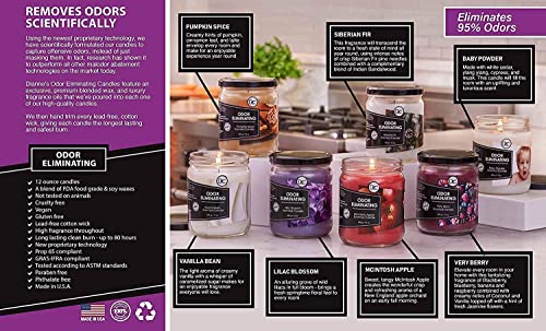 Odor Eliminating Highly Fragranced Candle - Eliminates 95% Of Pet, Smoke, Food, And Other Smells Quickly - Up To 80 Hour Burn Time - 12 Ounce Premium Soy Blend (Lilac Blossom Twin Pack) #TOP5