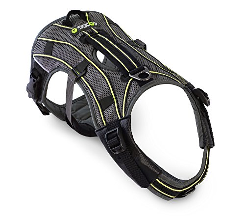 EQDOG 102-135 Arnés Pro Verde, S
