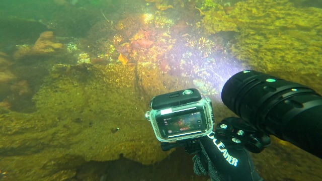 Amazon.co.jp: Wurkkos DL46 の飛び込みライト、20000 の内腔の Scuba