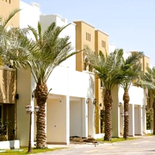 Page de couverture de Buying property in Saudi Arabia? The Saudi market will open to foreigners starting in 2026