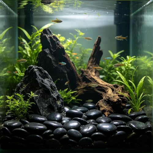 Image of 40 Lbs Black River Rocks - Large Polished Black Pebbles for Plants & Garden Decorative Stones,1-2 inch Polished Pebbles for Landscaping, Fish Tanks, Flower Pots, Water Fountains