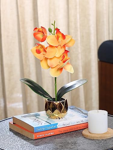Image of Fourwalls Artificial Orchid Flower Plant with Ceramic Pot (Orange, 24.5 cm) Decorative Items for Home Decor Living Room Balcony Kitchen Bedroom Office Table Top