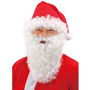 すっぽりサンタさん コスチューム メンズ