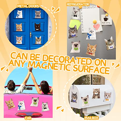 Imanes Decorativos de Gato Paquete x12 miniatura 3