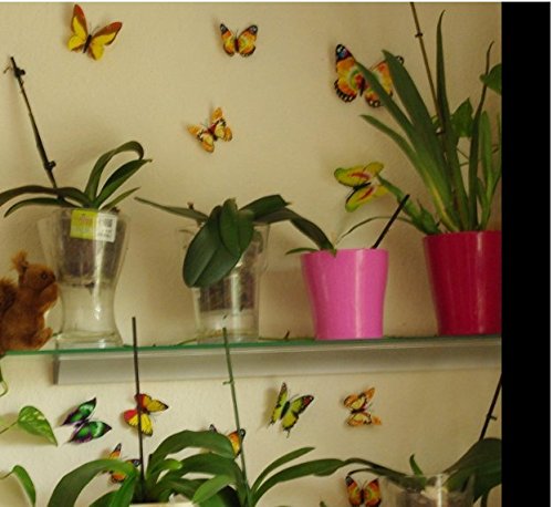 ElecMotive 72 Pezzi Farfalle 3d Farete Misura