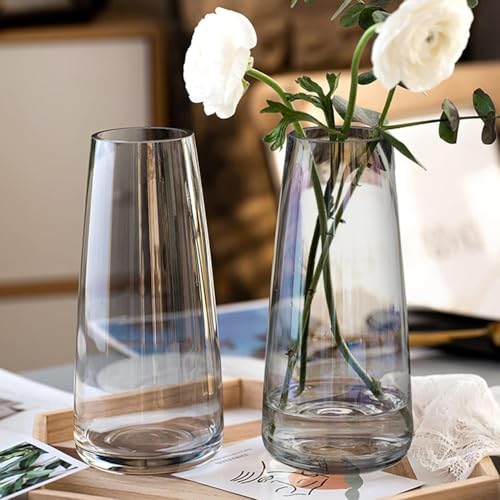 Image of TIED RIBBONS Set of 2 Glass Flower Vase Pot for Plants (Black, 22.8 cm X 6.3 cm X 7.6 cm) - Decorative Home Decor Living Room Water Plants Dining Table Decoration Bedroom Hall House Warming Gift