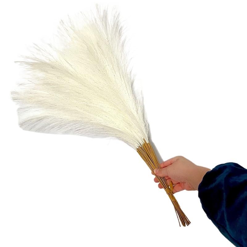 Pampas Grass Large 10Pcs 55cm Fluffy Decoración