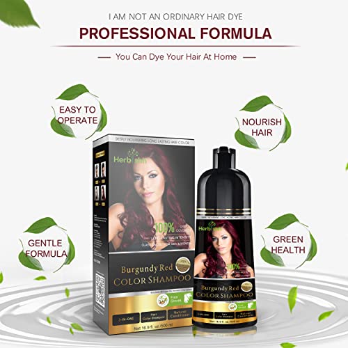 Herbishh Hair Color Shampoo for Gray Hair-Natural