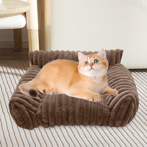 Canapé pour chat douillet et surélevé intérieur extérieur