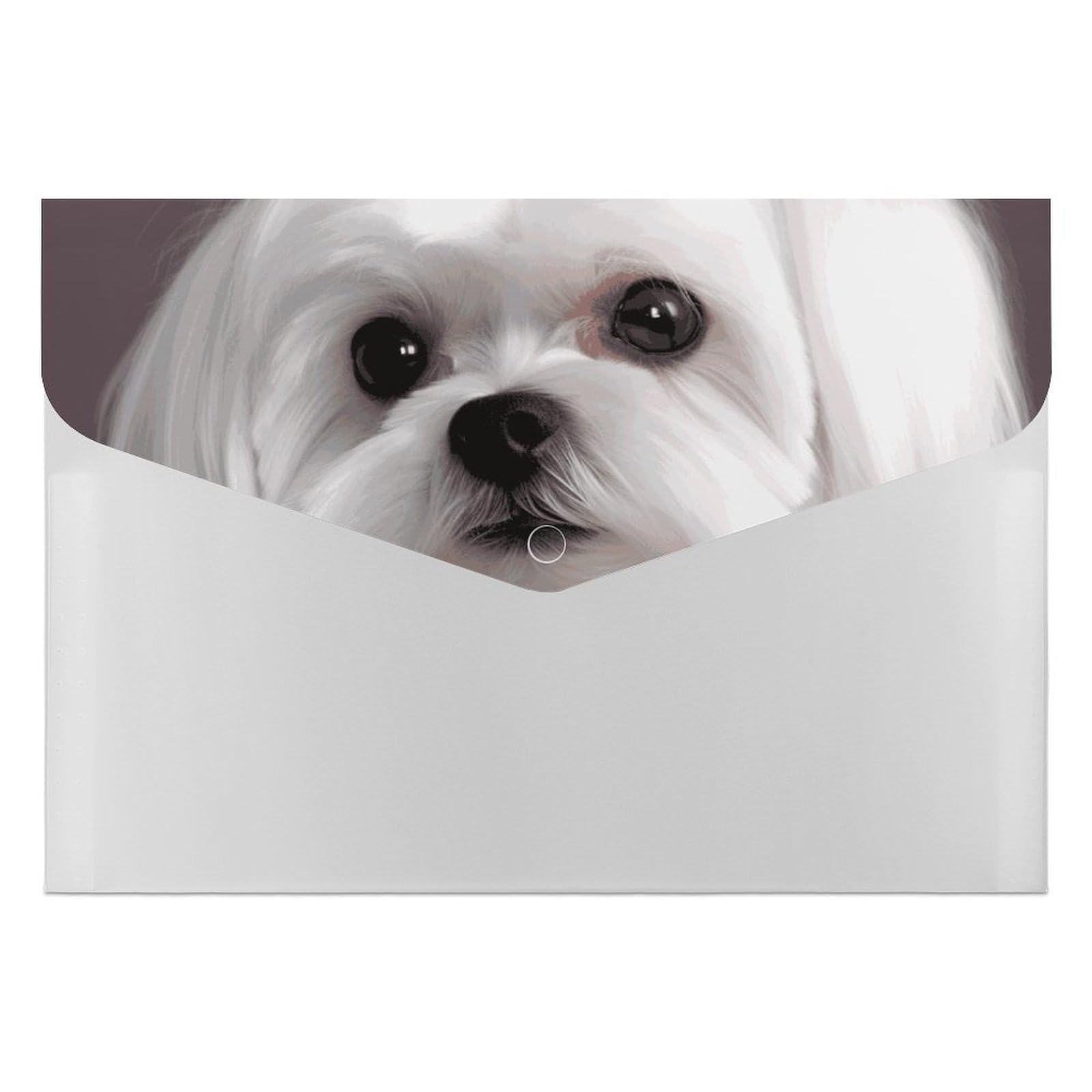Porte-documents chien maltais : 6 compartiments pour protéger vos dossiers - 8