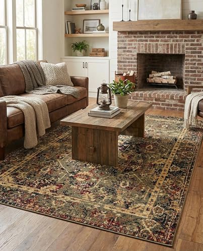 Tapete decorativo rectangular verde 5'3 x 8' Rugs.com miniatura 1
