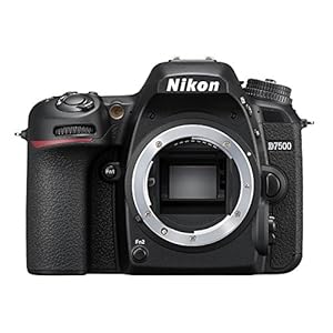Nikon 33719 Black D7500 DX-Series Digital Body
