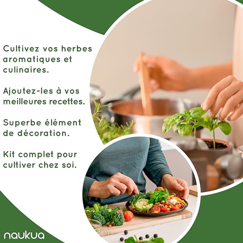 Potager d'intérieur Hydroponique - Pret a Pousser Smart Garden - Kit de culture de jardin intelligent avec éclairage LED, minuterie automatique et pompe à eau - Capacité pour 10 pousses simultanées – Image 7