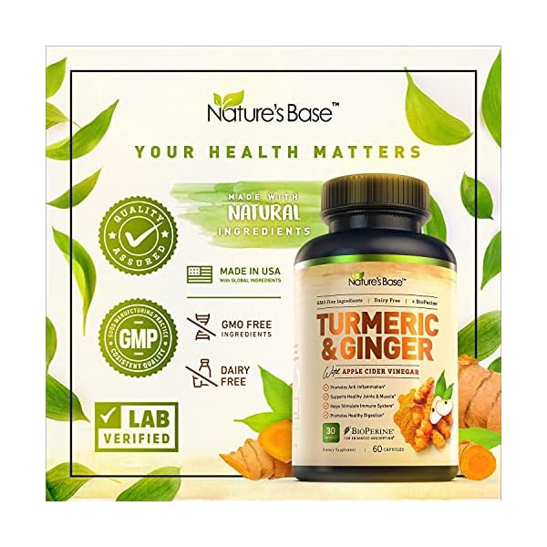 Turmeric-Curcumin-with-Ginger-Apple-Cider-Vinegar-BioPerine-Black-Pepper-95-Curcuminoids-Natural-Joint-Healthly-Inflammatory-Support-Antioxidant-Tumeric-Supplement-Made-in-USA-Natures-Base Turmeric and Ginger Supplement - Tumeric Curcumin Joint Support Pills - with Apple Cider Vinegar & BioPerine Black Pepper - 95% Curcuminoids - 60 Capsules