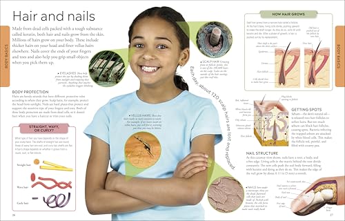 Human Body A Visual Encyclopedia - Image 5