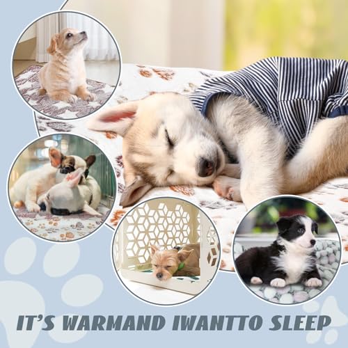 Yedsintu 6 Pcs Washable Guinea Pig Blankets Absorbent Animal Fleece Bedding Waterproof Cage Liners Reusable Pet Pee Pad Sleep Mat Pad Cover For Hamster Ferret Rabbit Chinchilla Hedgehog thumb #4