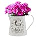 Belle Vous Florero Regadera Metal Shabby Chic – 13 cm Jarra Vintage Estilo Francés con Asa –Vintage Rustica Granja Diseño Ave – Jarrones para Flores Decoración del Hogar, Bodas y Oficina