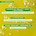 Experiment Buffer Jelly Intensive Barrier Treatment Oil - Ceramide, Squalane, & Panthenol - Hydrating, Soothing, & Strengthening, 1.0 FL OZ - Squalane Oil for Face, Vegan Formula for Dry Skin Types