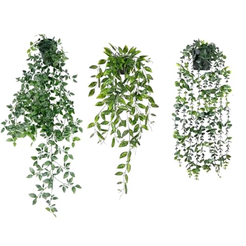 All Trust tFCNO[ ݂艺 ϗtA tFCN Ǌ|   CeA