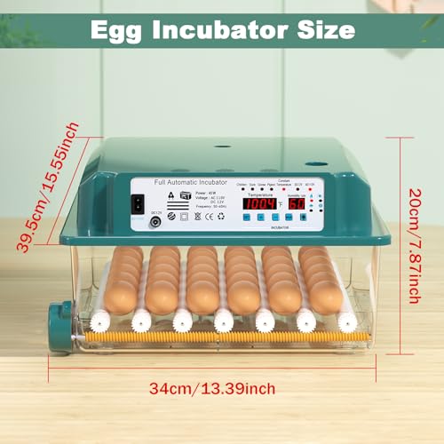 Image of CoInceptus 36 Eggs Incubators for Hatching Eggs,Egg Incubator with 4 Automatic Incubate Mode,Chicken Incubator with Automatic Egg Turning Humidity Display,Quail Egg Incubator with Egg Candle