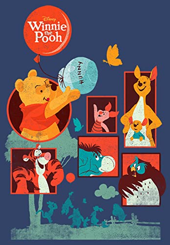 Disney Boys' Pooh and Friends Hoodie2