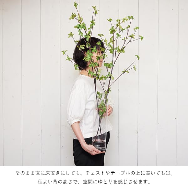 Amazon｜GREENPARK ドウダンツツジ ウォーター H100cm 観葉植物