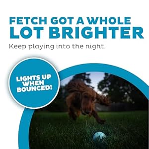 Outward Hound by Planet Dog Strobe Light Up LED Ball Dog Toy, Blue Outward Hound by Planet Dog Strobe Light Up LED Ball Dog Toy Blue