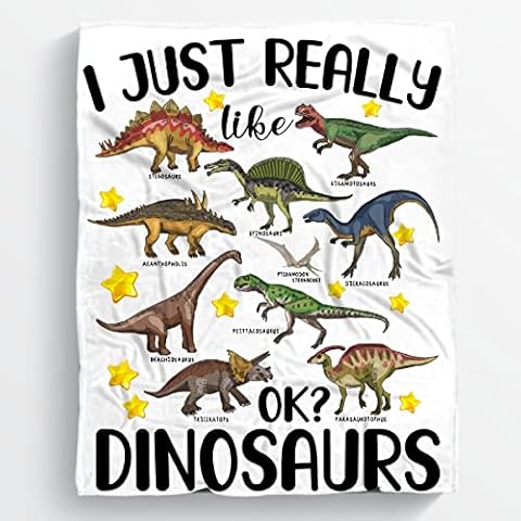 MYSTCOVER I Just Really Like Dinosaurs Blanket Gifts for Boys Girls, Jurassic Dino Decor Plush Soft Lightweight Flannel Fleece Dinosaur Throw Blankets Dinosaur Bedding for Adults Bed Sofa 80x60In Cover
