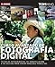 Curso avanzado de fotografía digital : técnicas fotográficas de manipulación y de edición para crear imágenes perfectas - Ang, Tom
